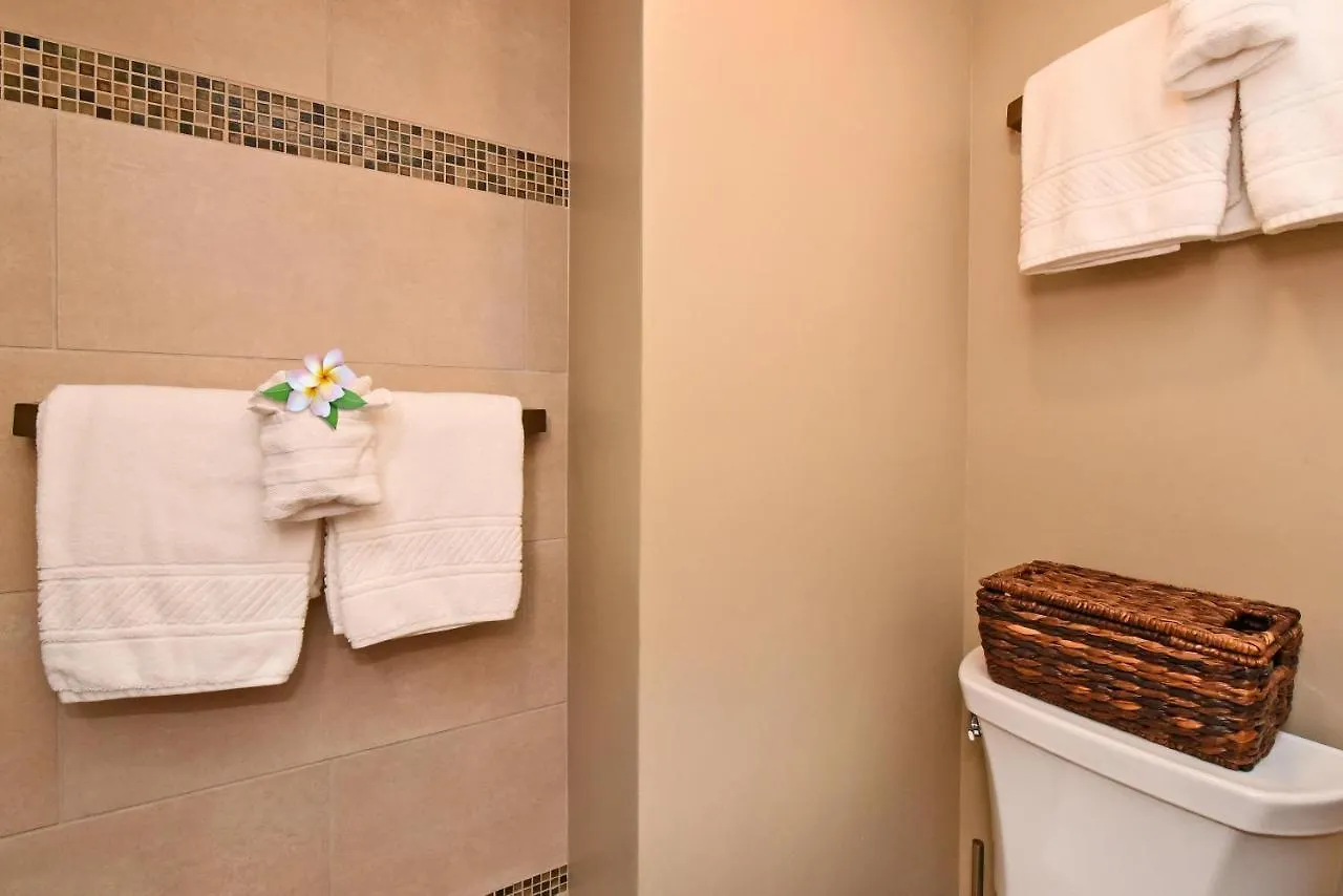 Papakea L303 Villa Kahana Holiday home